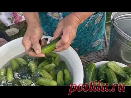 Украинское село. КАК МАРИЯ СЕМЕНОВНА КВАСИТ ОГУРЦЫ НА ЗИМУ.