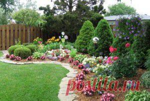 Готовые схемы цветников и клумб из многолетников и однолетников