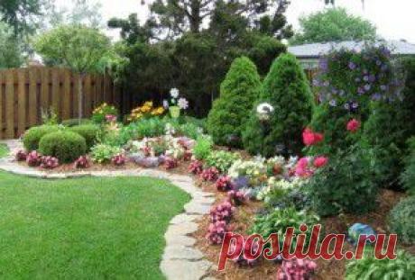 Готовые схемы цветников и клумб из многолетников и однолетников