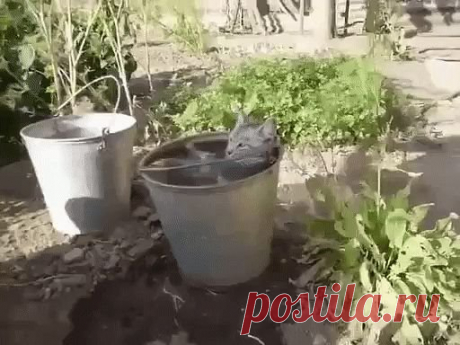 Одноклассники