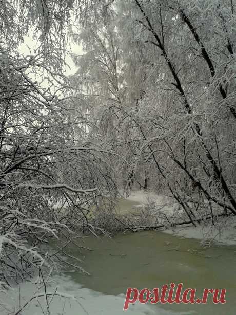 Зимняя сказка.