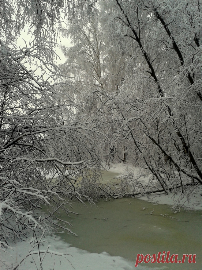 Зимняя сказка.
