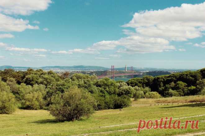 O Que Fazer em Lisboa - Página 30 de 66 - Lisboa Secreta