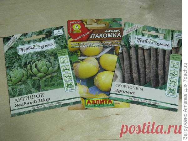 Чудо-овощи, или Овощные экзоты на наших грядках