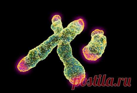 Stress alters children's genomes : Nature News &amp; Comment