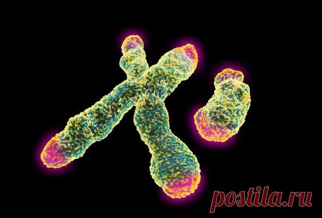 Stress alters children's genomes : Nature News & Comment