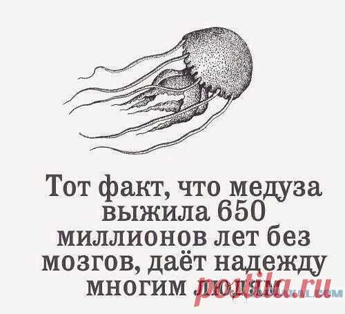 Философские нецензурные мысли и утверждения...