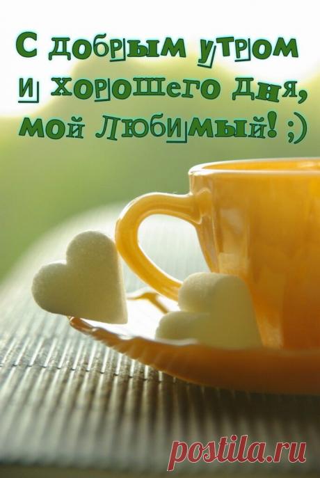 Я бужу тебя на рассвете,
Чтоб сказать понежнее слова,
Ведь дороже мне всех ты на свете.
С добрым утром, любимый, тебя!