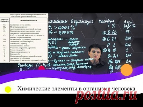 Химические элементы в организме человека. 7 класс.