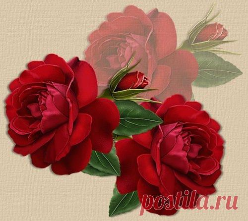 Дневник TVORYU