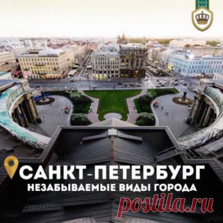 Здесь на крышах кипит целая жизнь!