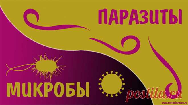 Что такое микробы и чем они отличаются от паразитов? 

Паразиты - это категория организмов различных групп, общей чертой которых является паразитизм!

Таким образом, эти организмы живут за счёт других организмов, используя для жизнедеятельности питательные вещества, ткани и кровь хозяина.