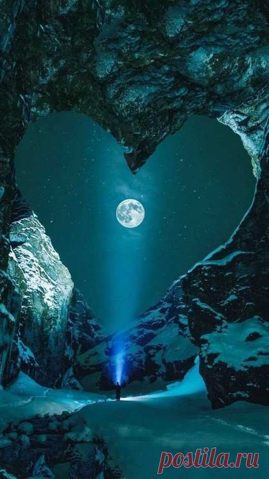 beautyfulthingsworld:
“Moonlight 🌹 ♚ 🌹
”