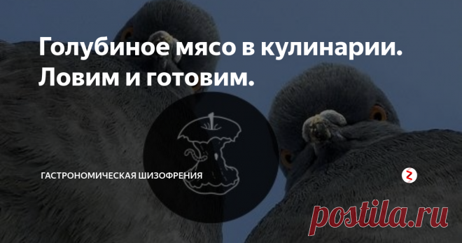 Голубиное мясо в кулинарии. Ловим и готовим. Человек, как известно – существо всеядное. И вечно нам чего-то не хватает. Уже не достаточно специально выращенных кур, говядины и свинины, подавай голубиное мясо! Еще бы, ведь оно издревле считается королевским лакомством. Причем его никогда не подавали в качестве повседневной пищи, только по большим торжествам (или большой нехватке денег).
Голубиная Библия.
Голубей издревле использовали в качест