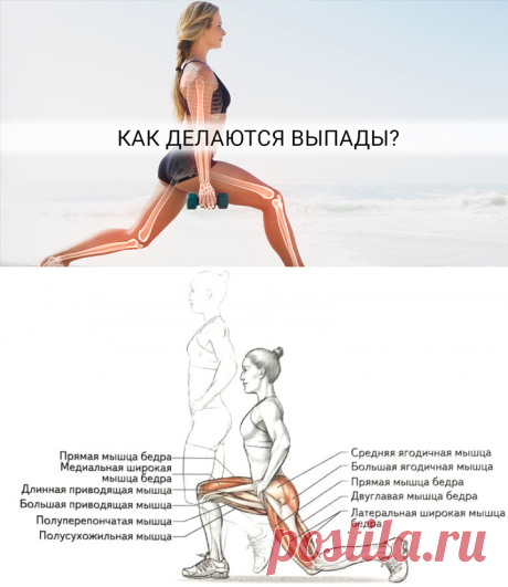 Как правильно делать выпады для упругой попы!
Такие упражнения для ягодиц и бедер как выпады позволяют активизировать работу всех групп мышц бедер и ягодиц. Кликайте на фото, чтобы прочитать ⤴