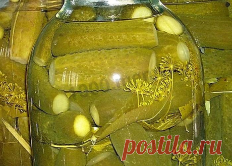 Маринованные огурцы как в магазине на зиму рецепт с фото - 1000.menu