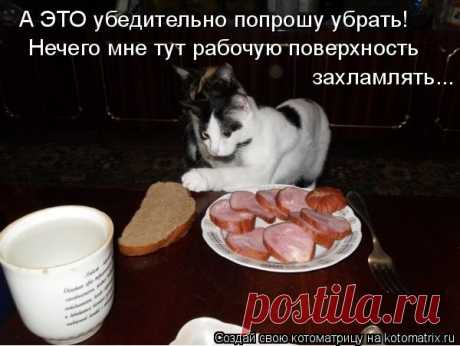 Котоматрица: Главная