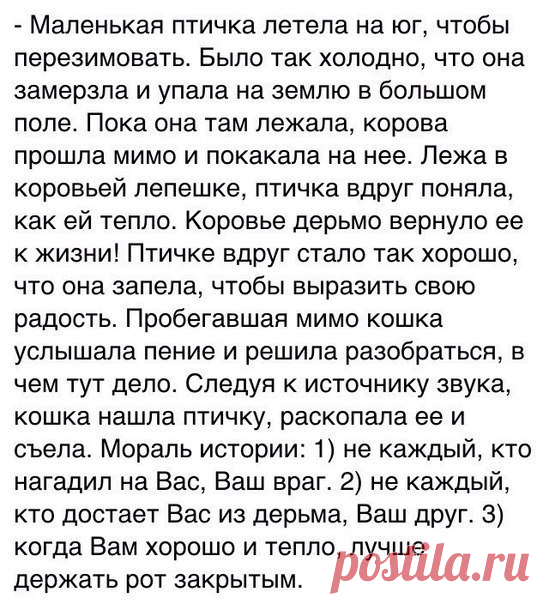 E s t h é t i q u e