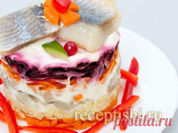 Салат Селедка под шубой классическая | Кулинарные рецепты с фото на Рецептыши.ру