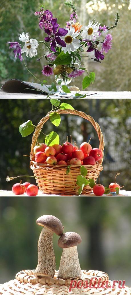 Уходит август, провожая лето