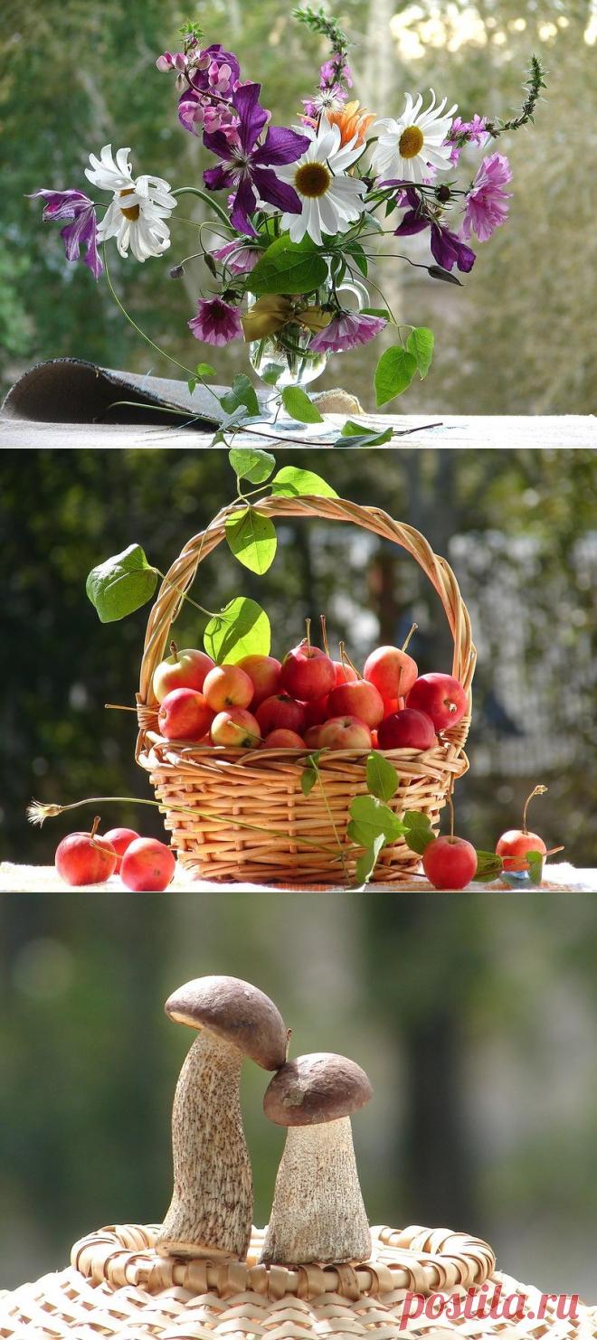 Уходит август, провожая лето