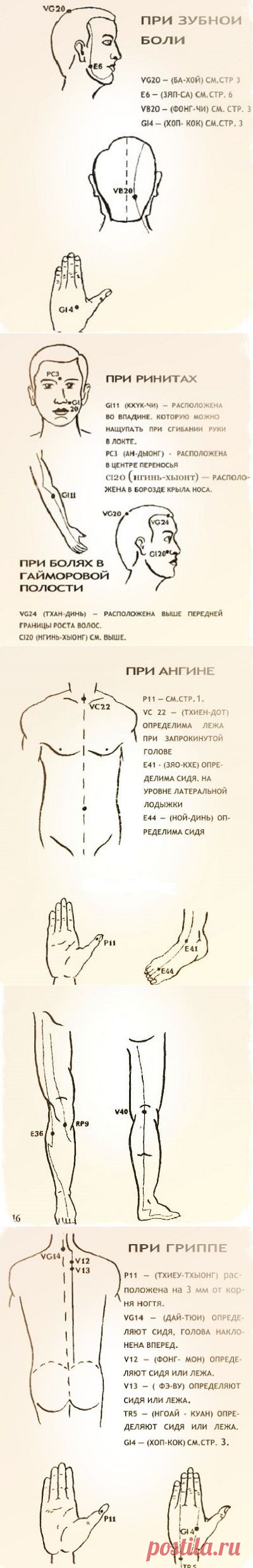 Целебные свойства бальзама «Звездочка»