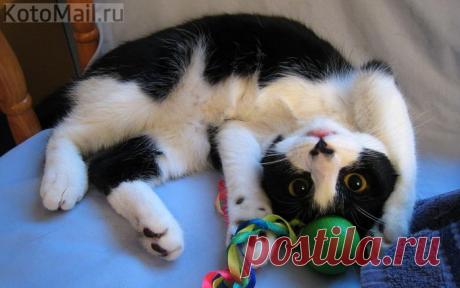 Да я затейник и проказник!