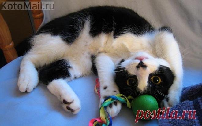 Да я затейник и проказник!