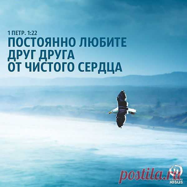 Когда Утешитель придет, Он научит вас все­му», — так написано.