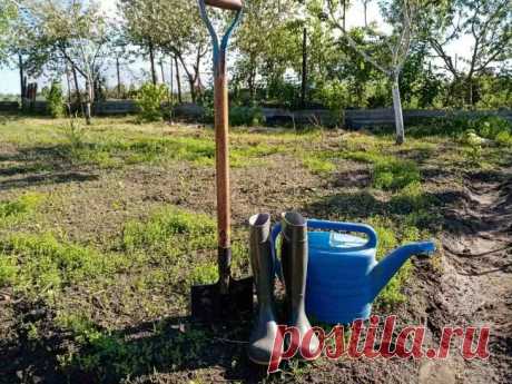 Черенки упорно не пускают корни? Секрет, который скрывают успешные садоводы. Поймав правильный момент срезки и обеспечив базовые условия, вы превратите черенкование из лотереи в гарантированный способ получить копии любимых растений бесплатно.