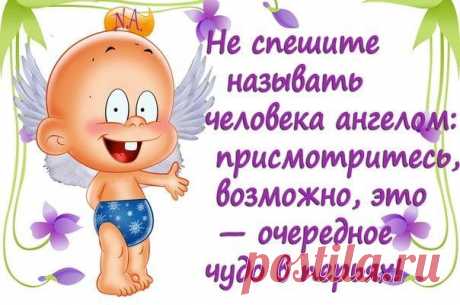 Смешные фразки в прикольных картинках)))