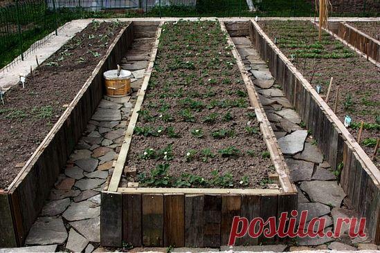 ОГРАЖДЕНИЯ ДЛЯ ГРЯДОК | Самоцветик