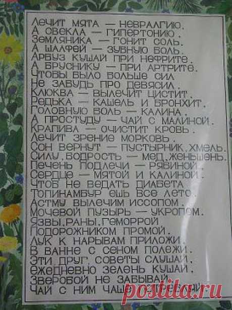 НАРОДНЫЙ ЦЕЛЕБНИК
ЕЛЕНА ЛЮБИМАЯ