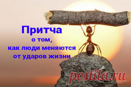 Притча о том, как люди меняются от ударов жизни &amp;raquo; Женский Мир