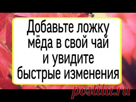 Добавьте ложку мёда в чай и увидите быстрые изменения. | Тайна Жрицы |