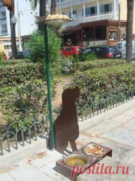 Так на острове Родос (Греция) решают проблему с бездомными животными. На каждом углу там стоят такие профили собаки, у которой в ногах всегда полные миски, а над ней поднос с кормом для птиц. Наполняют их водой и кормом простые жители.