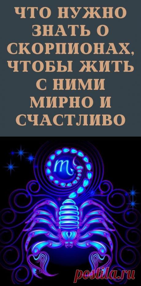 Что нужно знать о Скорпионах, чтобы жить с ними мирно и счастливо