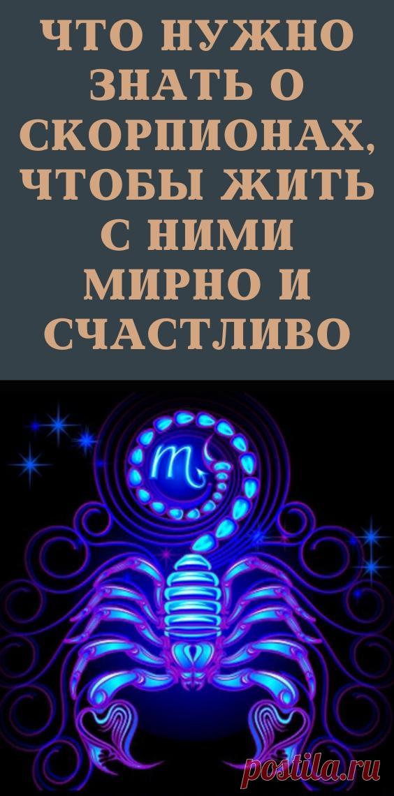 Что нужно знать о Скорпионах, чтобы жить с ними мирно и счастливо
