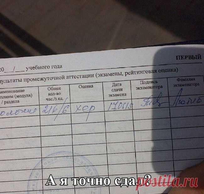 Народные перлы. вот умора! / Писец - приколы интернета