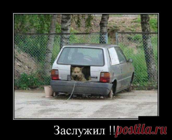 Изумительные Демотиваторы / Писец - приколы интернета