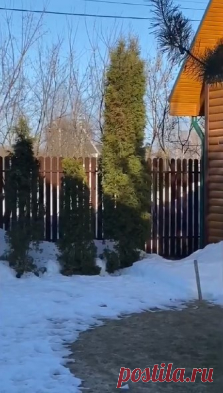 Что происходит прямо сейчас?