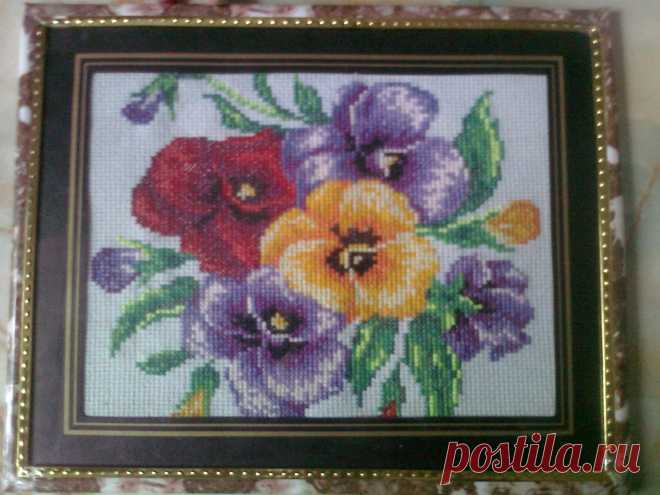 анютины глазки (2013)