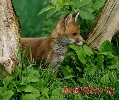 Мой Мир@Mail.Ru