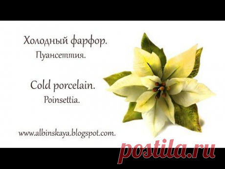 Холодный фарфор. Мастер-класс. Пуансеттия / Cold Porcelain. Poinsettia. - YouTube