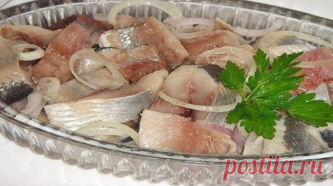 5 невероятно вкусных маринадов для селедки В рацион здорового человека должна входить рыба.
И можно сказать с уверенностью, что любая рыба полезна. Сегодня мы поговорим о такой рыбе, как рыба сельдь, а в народе ее называют селедка. Однако сель…