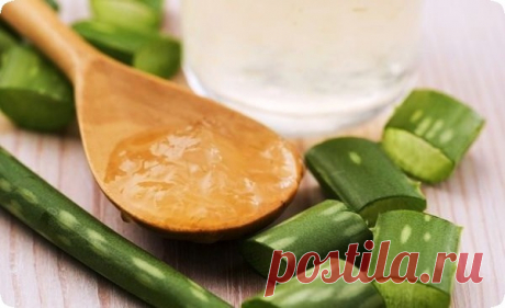 СОК АЛОЭ ПРИМЕНЕНИЕ ВО ВНУТРЬ, НАРУЖНО ДЛЯ ДЕТЕЙ И ВЗРОСЛЫХ