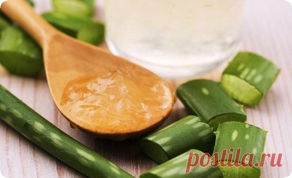 СОК АЛОЭ ПРИМЕНЕНИЕ ВО ВНУТРЬ, НАРУЖНО ДЛЯ ДЕТЕЙ И ВЗРОСЛЫХ