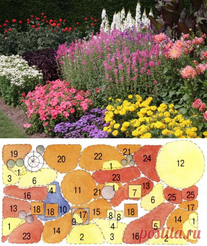 Клумба, которая цветет все лето