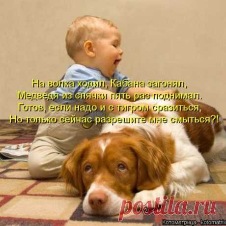 Наши забавные друзья 100