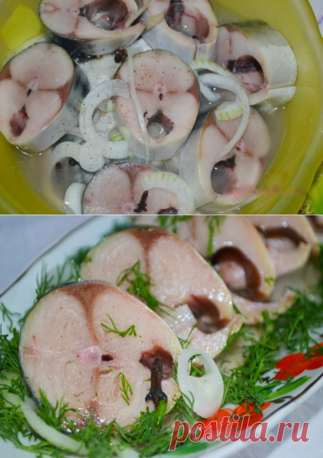 Как замариновать скумбрию